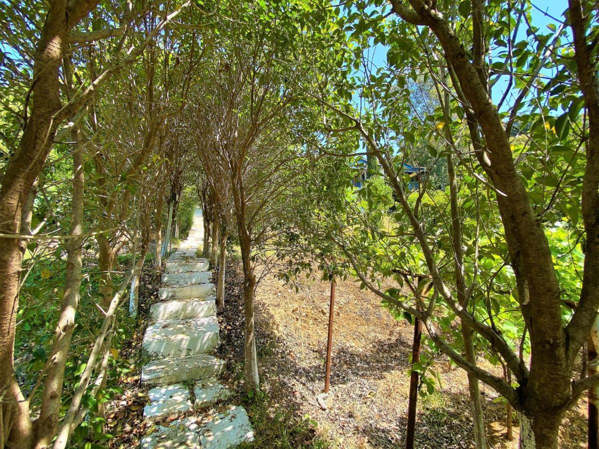 Ramo'S Green Beachside Retreat - Cozy 2 Bedroom Home Vlore Bagian luar foto