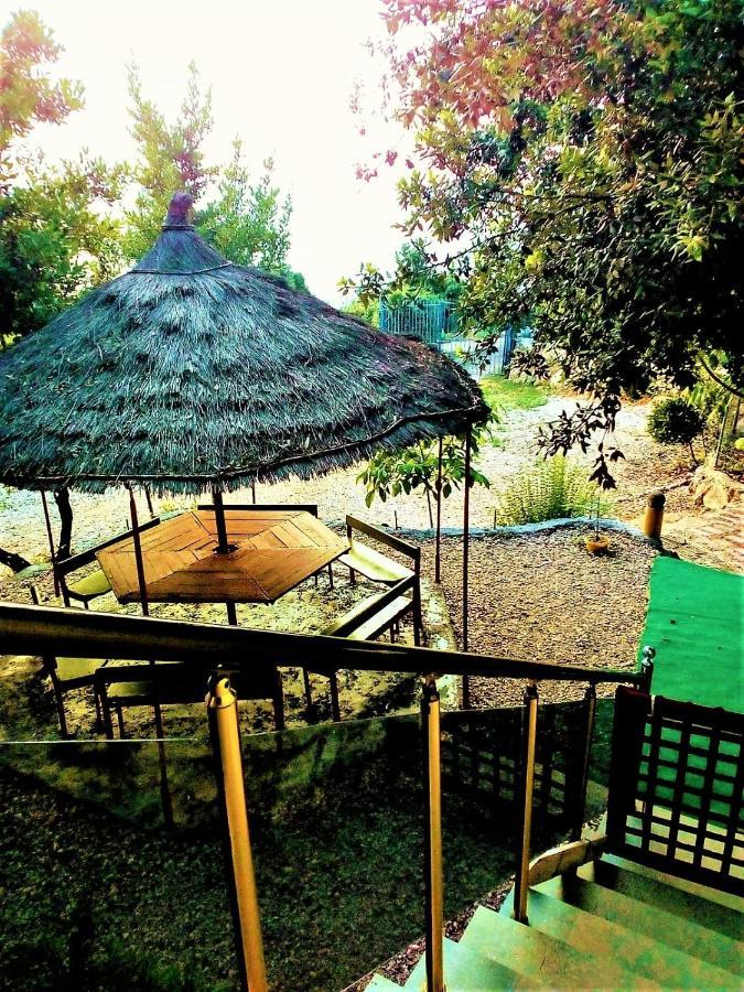 Ramo'S Green Beachside Retreat - Cozy 2 Bedroom Home Vlore Bagian luar foto